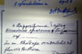 Hieracium stupposiforme T.Georg. f. eglandulosum [type]