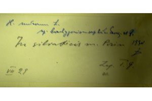 Hieracium [lectotype SOAXXXXX0057] (c) Agricultural University of Plovdiv — Herbarium (SOA)