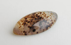 Agate — specimen 0392