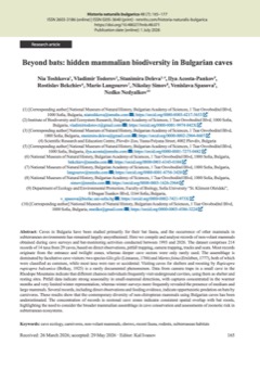 Beyond bats: hidden mammalian biodiversity in Bulgarian caves