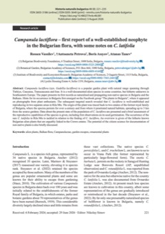 Campanula lactiflora – first report of a well-established neophyte in the Bulgarian flora, with some notes on C. latifolia