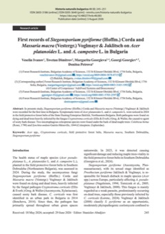 First records of Stegonsporium pyriforme (Hoffm.) Corda and Massaria macra (Vestergr.) Voglmayr & Jaklitsch on Acer platanoides L. and A. campestre L. in Bulgaria