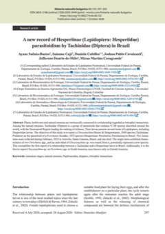 A new record of Hesperiinae (Lepidoptera: Hesperiidae) parasitoidism by Tachinidae (Diptera) in Brazil