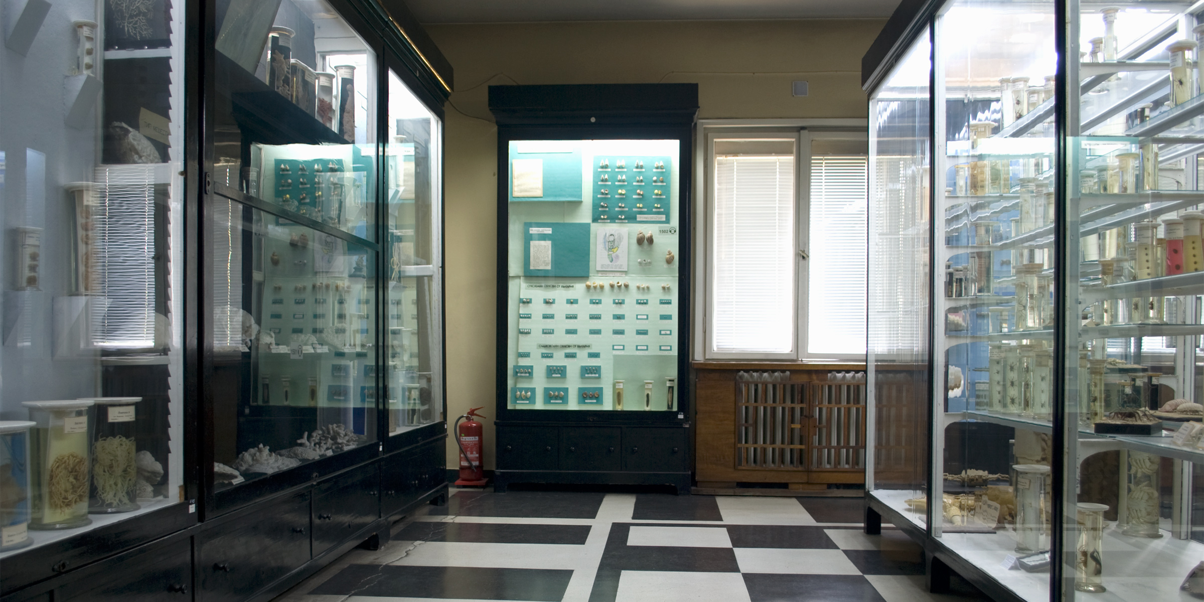 Hall 15 - Non-insect invertebrates. Photo: (c) NMNHS