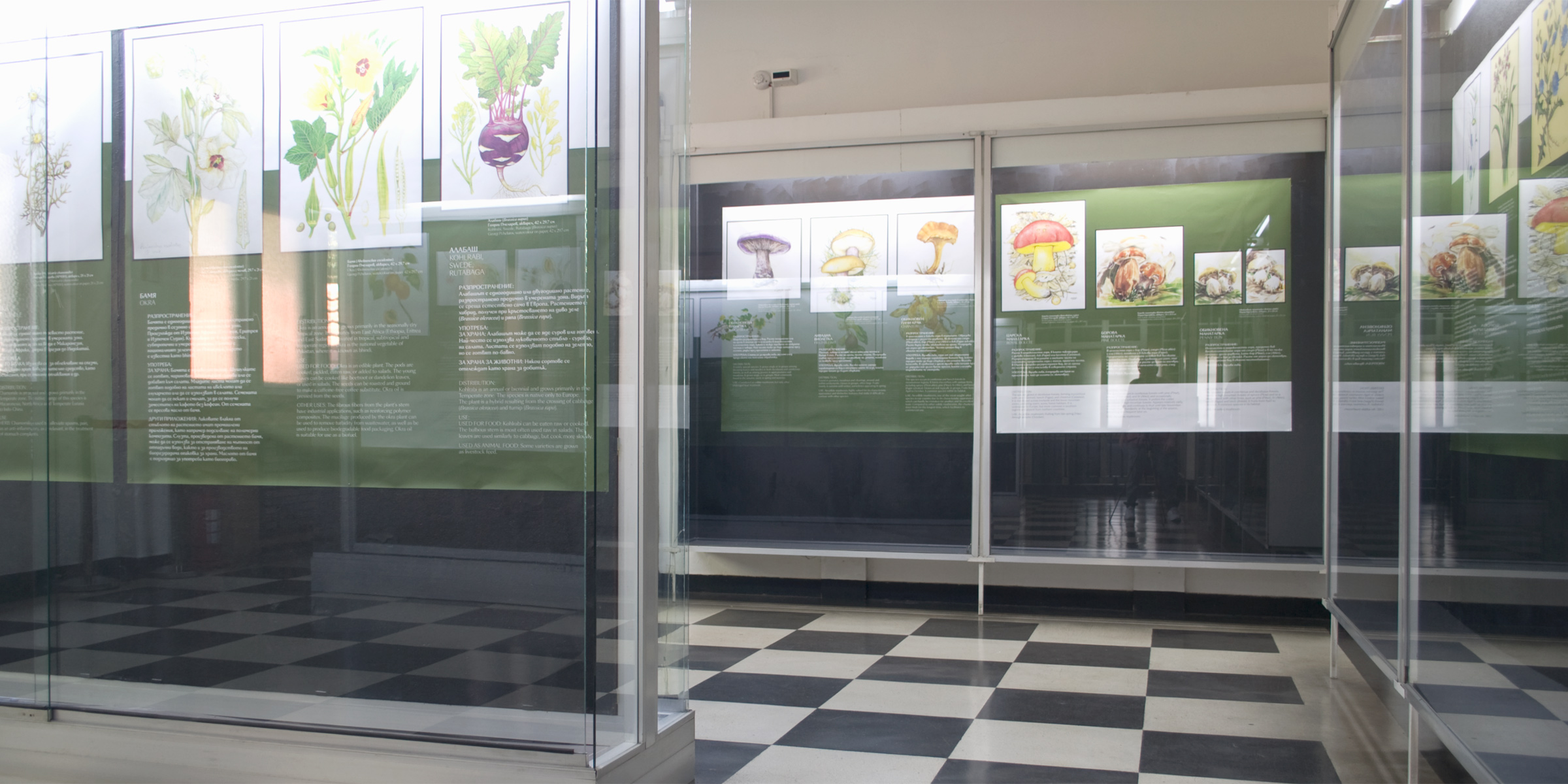 Hall 16 - Plants. Photo: (c) NMNHS